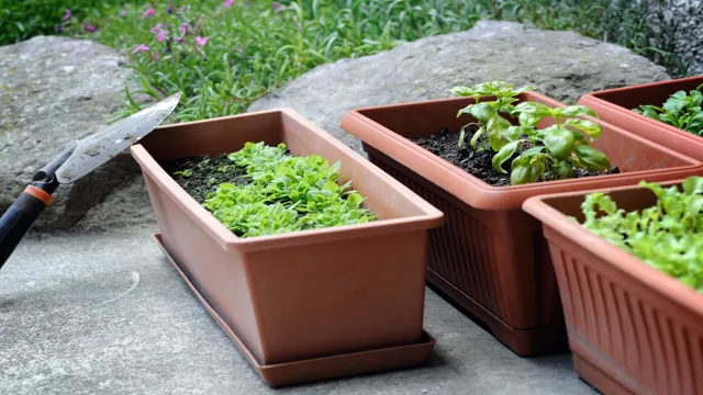 Container gardening for small spaces