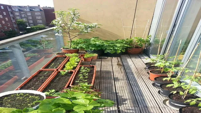 Container gardening on a balcony