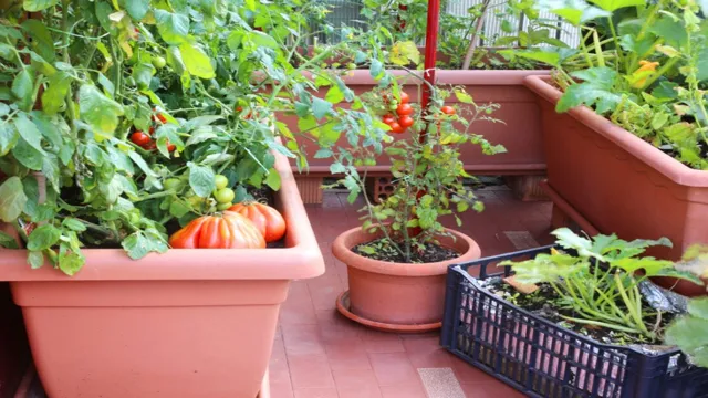 Container gardening with vegetables