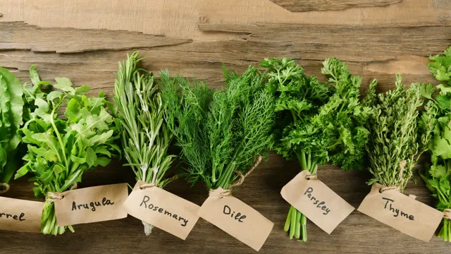Easy-to-grow culinary herbs