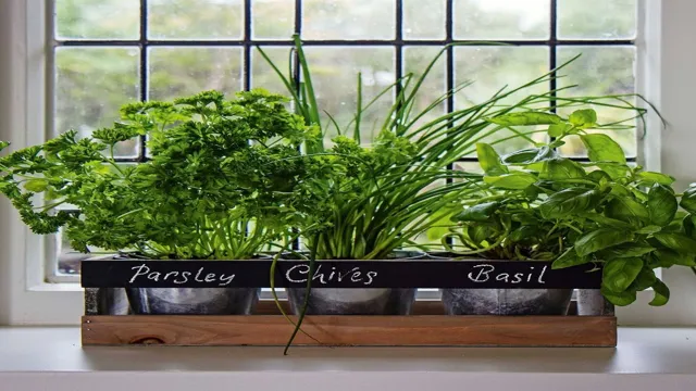 Indoor herb garden containers
