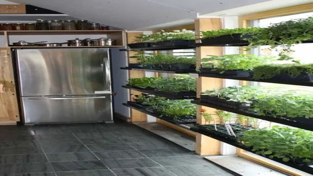 Indoor herb garden in small spaces