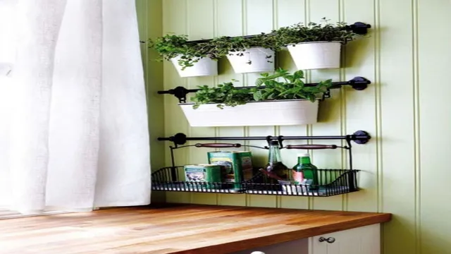 Indoor herb garden with hanging baskets