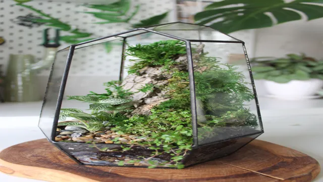 Indoor herb garden with herbs in geometric terrariums