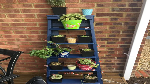 Indoor herb garden with herbs in hanging ladder planters