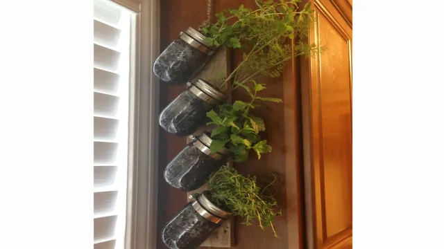 Indoor herb garden with herbs in hanging mason jars