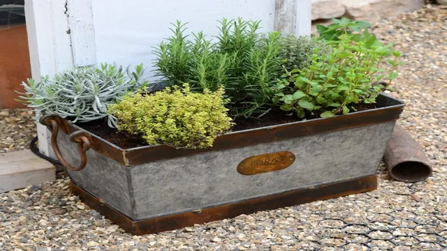 Metal Troughs for Indoor Herb Gardens: Your Ultimate Guide