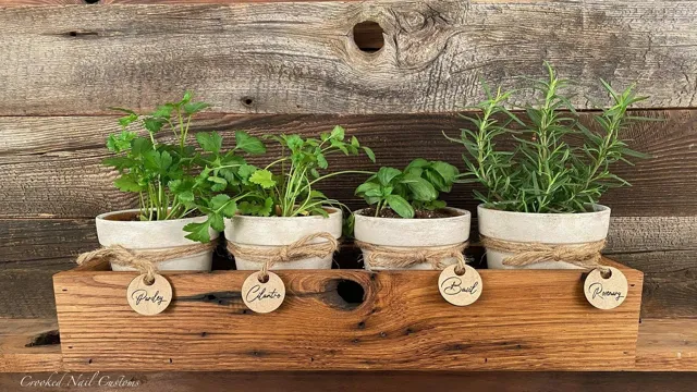 Indoor herb garden with herbs in rustic wooden boxes