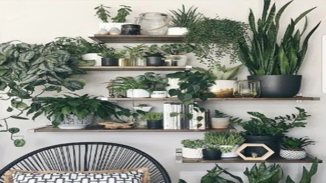 Indoor herb garden with herbs in the bedroom
