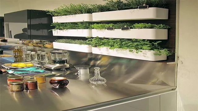 Indoor herb garden with herbs in the kitchen
