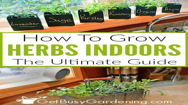The Ultimate Guide to Creating an Indoor Herb Garden at Work