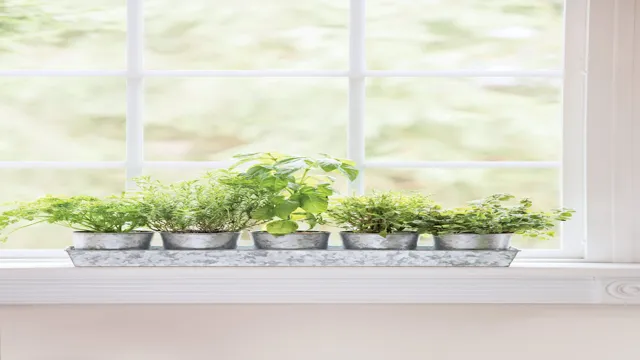 Window sill herb garden designs