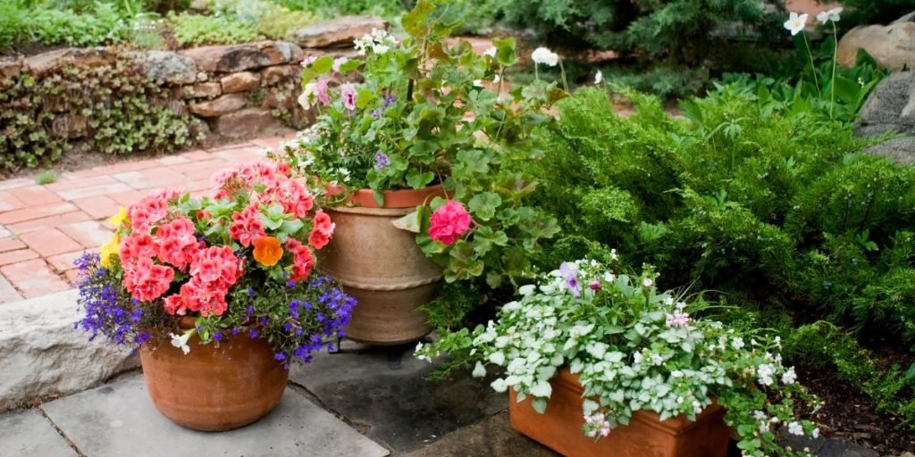 A Comprehensive Guide To Container Gardening With Flowers
