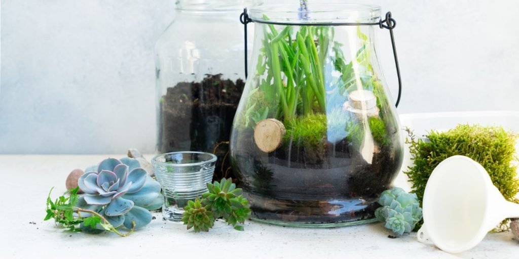A Guide To Creating Your Indoor Herb Garden With Mason Jars