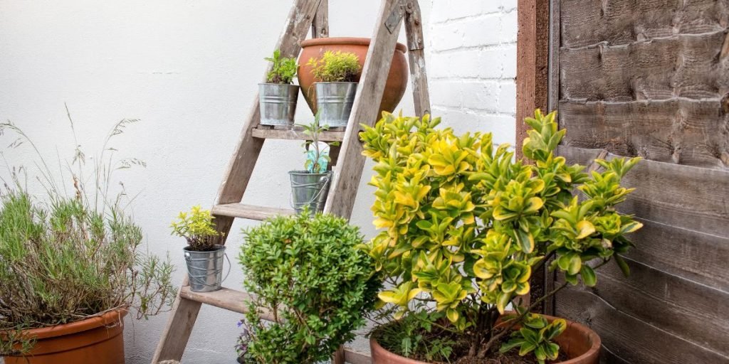 Container Gardening For Small Spaces: A Comprehensive Guide