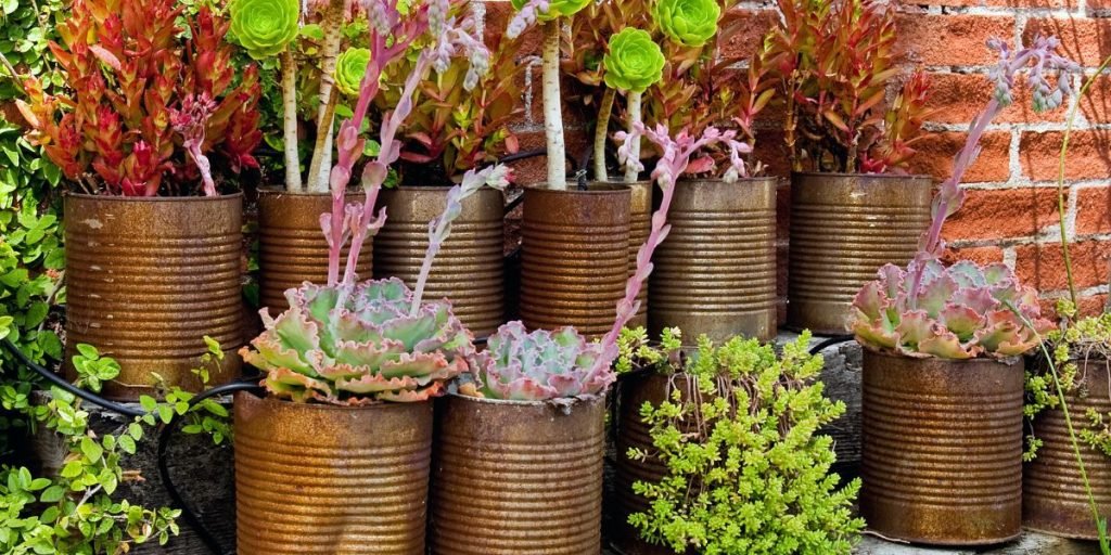 Creative Container Gardening Ideas For Modern Spaces