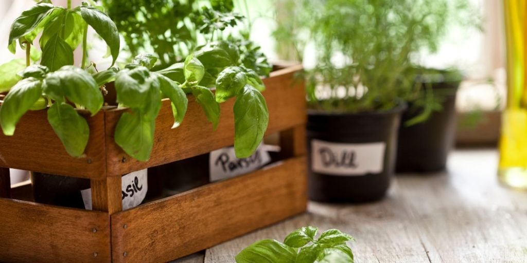 Essential Tips And Tricks For Successful Container Gardening