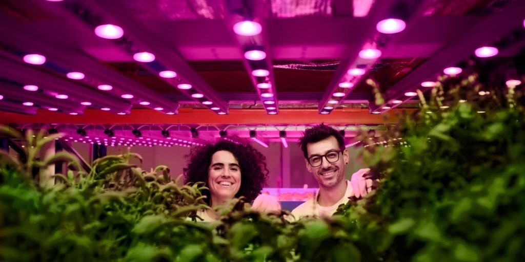 The Essential Role Of Indoor Herb Garden With Grow Lights